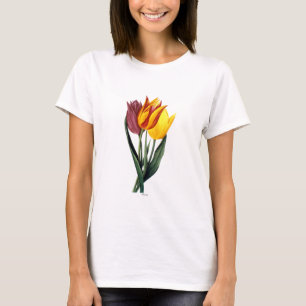 T-shirt Tulipe (Tulipa Gesneriana)