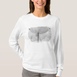T-shirt Tulipes dans les jardins de Keukenhof, Hollande.