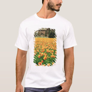 T-shirt Tulipes de printemps en fleurs devant une vieille 