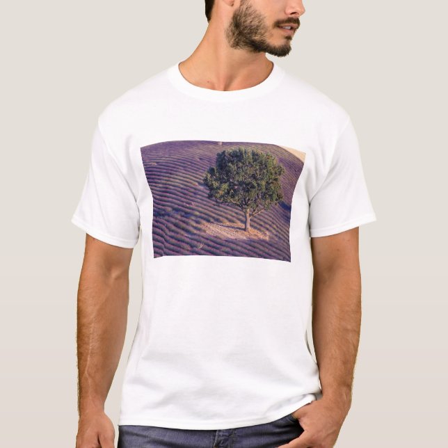 T-shirt UE, France, Provence, champs de lavande (Devant)
