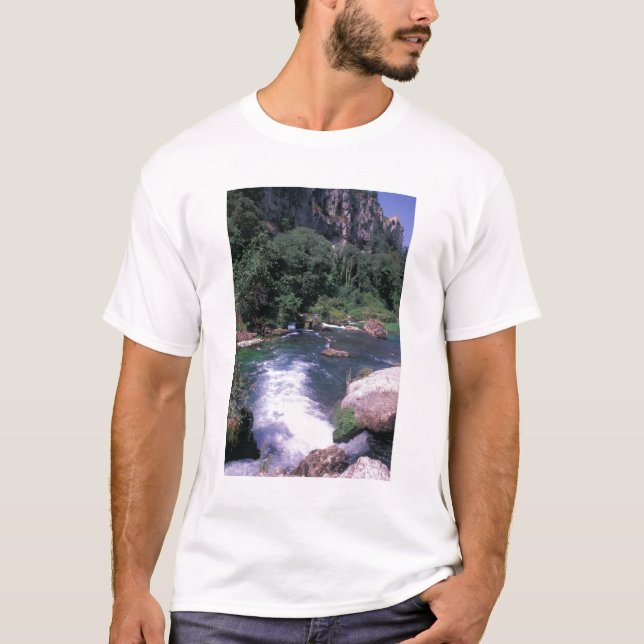 T-shirt UE, France, Provence, Frontaine de Vaucluse (Devant)