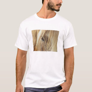 T-shirt Un ami pour jamais