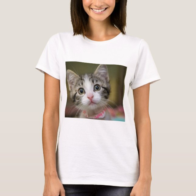 T-shirt Un chaton mignon aux yeux verts (Devant)