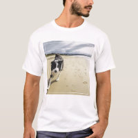 Un chien de border collie fonctionnant sur la