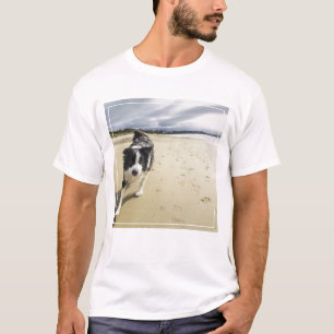 T-shirt Un chien de border collie fonctionnant sur la