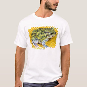 T-shirt Un crapaud de spadefoot