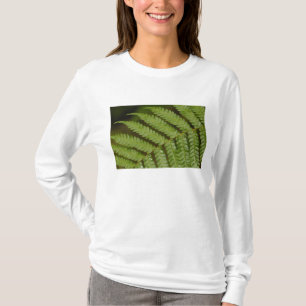 T-shirt Un détail de fougère, de la forêt nuageuse de Mind