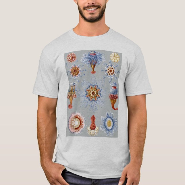 T-shirt Un hydrozoaire - Siphonophores (Devant)