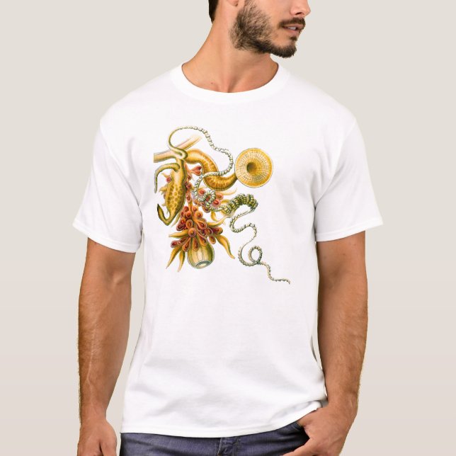 T-shirt Un hydrozoaire - uvaria de Salacella (Devant)
