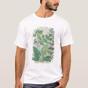 T-shirt Un plus grand Celandine ou un pavot