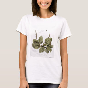 T-shirt Un plus grand plantain, peint chez Bayswater, le