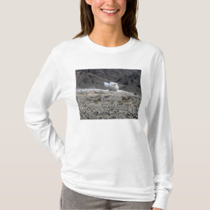T-shirt Un rond d'un petit lance-roquettes AT-4