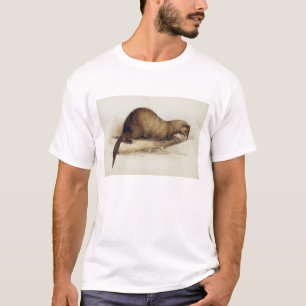 T-shirt Une belette, 1832 (la semaine, ove de stylo,