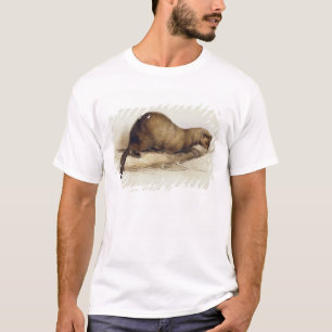 T-shirt Une belette, 1832 (la semaine, ove de stylo,