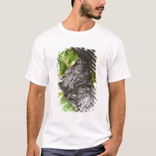 T-shirt Une branche d'une vigne très ancienne avec tordue