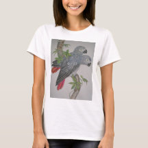 Une paire de gris africain Parrots la peinture
