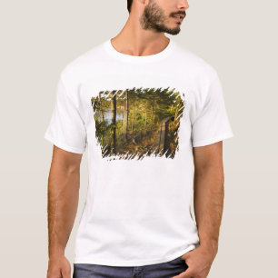 T-shirt Une passerelle en bois dans le parc national d'Aca