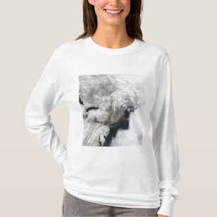 T-shirt Une tempête grave d'hiver