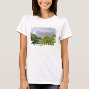T-shirt Une vue d'Ailsa Craig et l'île d'Arran, 1860