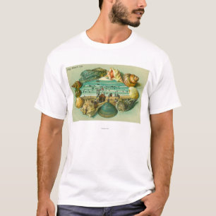 T-shirt Une vue pittoresque encadrée avec des coquilles de