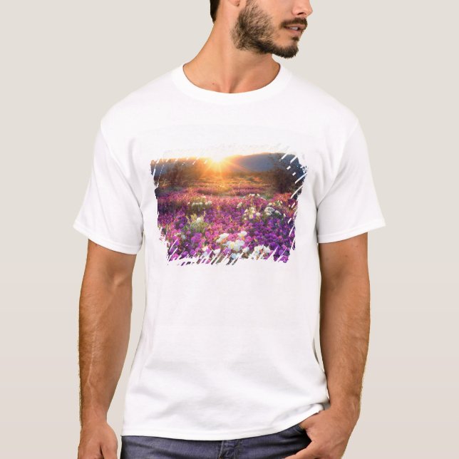 T-shirt USA, Californie, Anza-Borrego Desert State Park. 2 (Devant)
