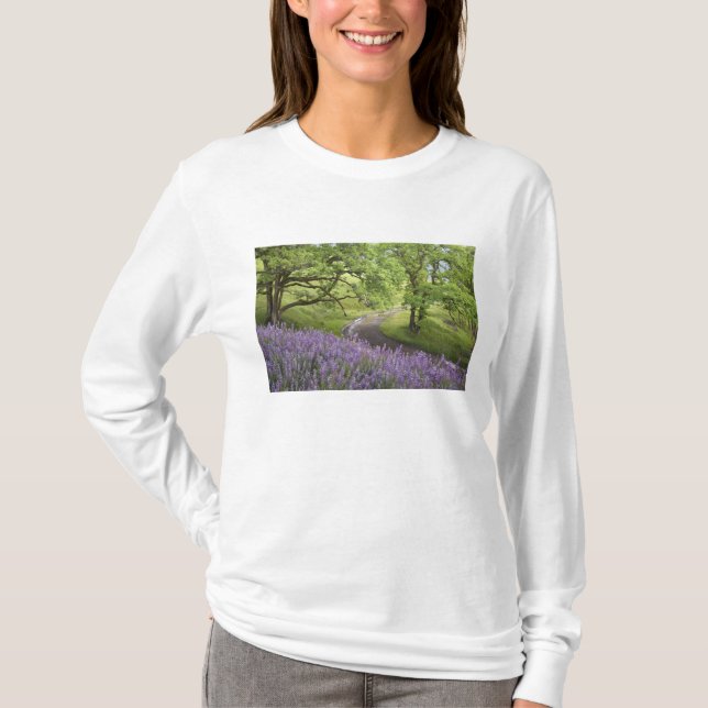 T-shirt USA, Californie, Redwood National Park. Jeu (Devant)