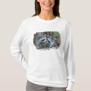T-shirt USA, Floride, Sanibel, Ding Darling National