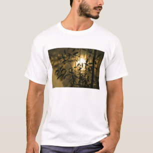 T-shirt USA, Géorgie, Callaway Gardens, Sunrise