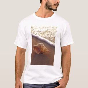 T-shirt USA, Hawaii, Maui, Kihei, Lumière du soir sur
