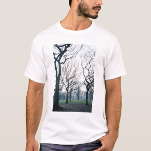 T-shirt USA, New York, New York City :Central Park