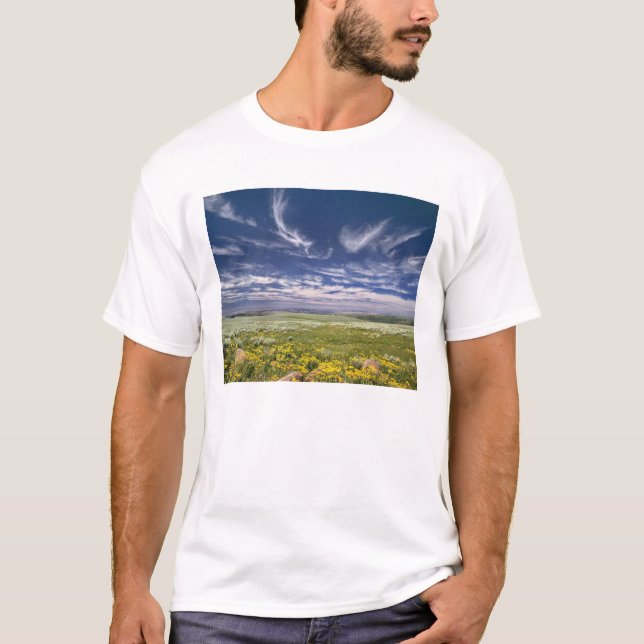 T-shirt USA, Oregon, Steens Mountain. Chirurgien de printe (Devant)