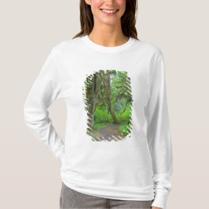 T-shirt USA, Washington, Olympic National Park, Hoh