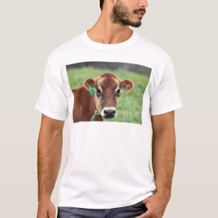 T-shirt Vache du Jersey