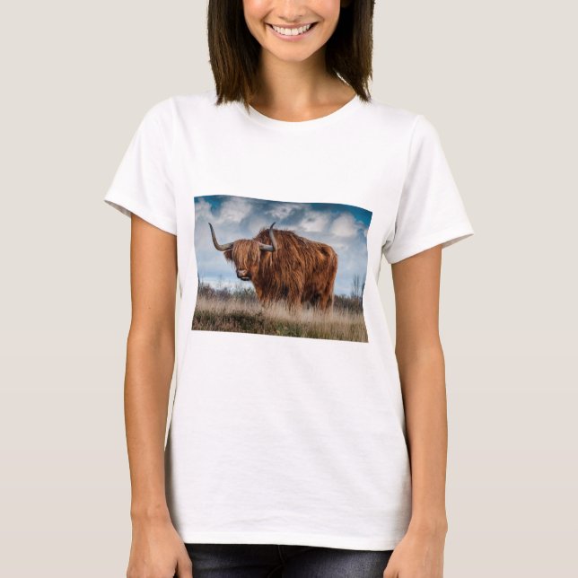T-shirt Vache majestueuse des Highlands (Devant)