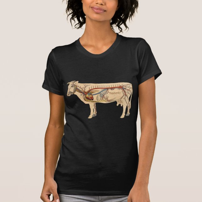 T-shirt Vache mignonne anatomique (Devant)