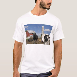 T-shirt Vaches devant une grange rouge et silo sur une fer