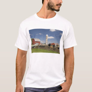 T-shirt Vaches devant une grange rouge et un silo dans une