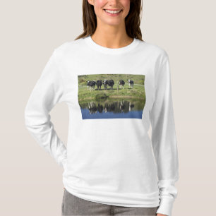 T-shirt Vaches reflétées dans le canal, Henley, plaine de