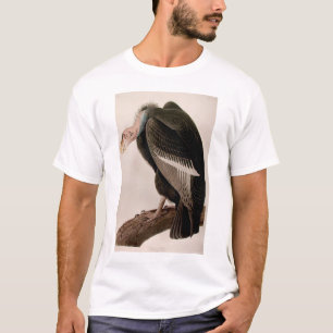 T-shirt Vautour californien [condor de Californie]