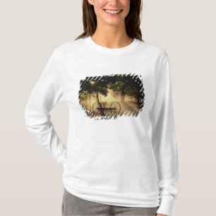 T-shirt Vermont, Northeast Kingdom, Lumière du soleil tomb