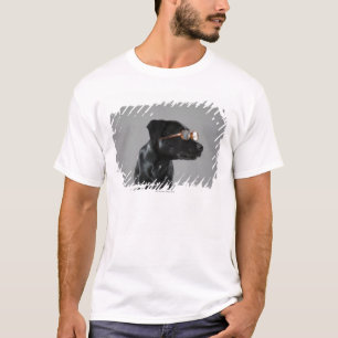 T-shirt Verres de port de chiot