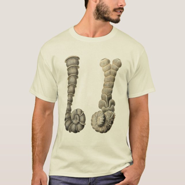 T-shirt Vertebralina (Devant)