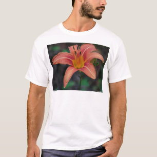 T-shirt Vêtements et Cadeaux de Journée Dorée Merveilleux