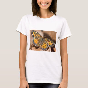 T-shirt Vêtements et cadeaux de teigne Brown et orange