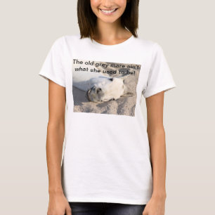 T-shirt Vieille chemise grise de jument
