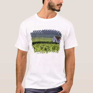 T-shirt vignoble Chambertin Clos de Bèze Grand Cru avec