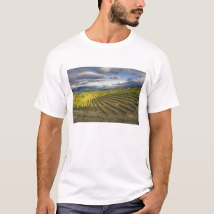 T-shirt Vignoble. Vallée de Napa. Napa. Comté de Napa,