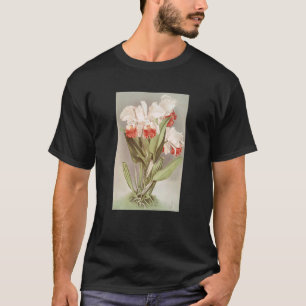 T-shirt Vintage Cattleya Mendelli, Duc De Marlborough Orc