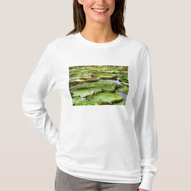 T-shirt Vitoria Regis, nénuphars géants de l'Amazonie (Devant)