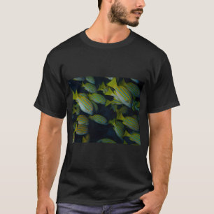 T-shirt Vivaneaux rayés bleus